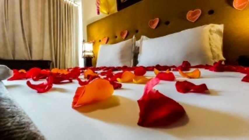 petalos en cama (Small) petalos en cama (Small)